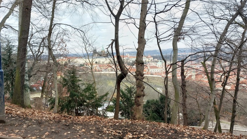 Praha-pohled-z-Petrina