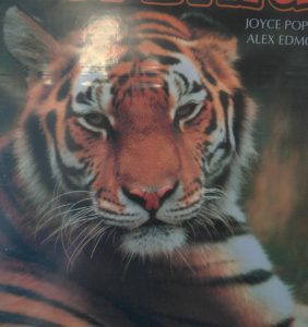 obrázek tygra